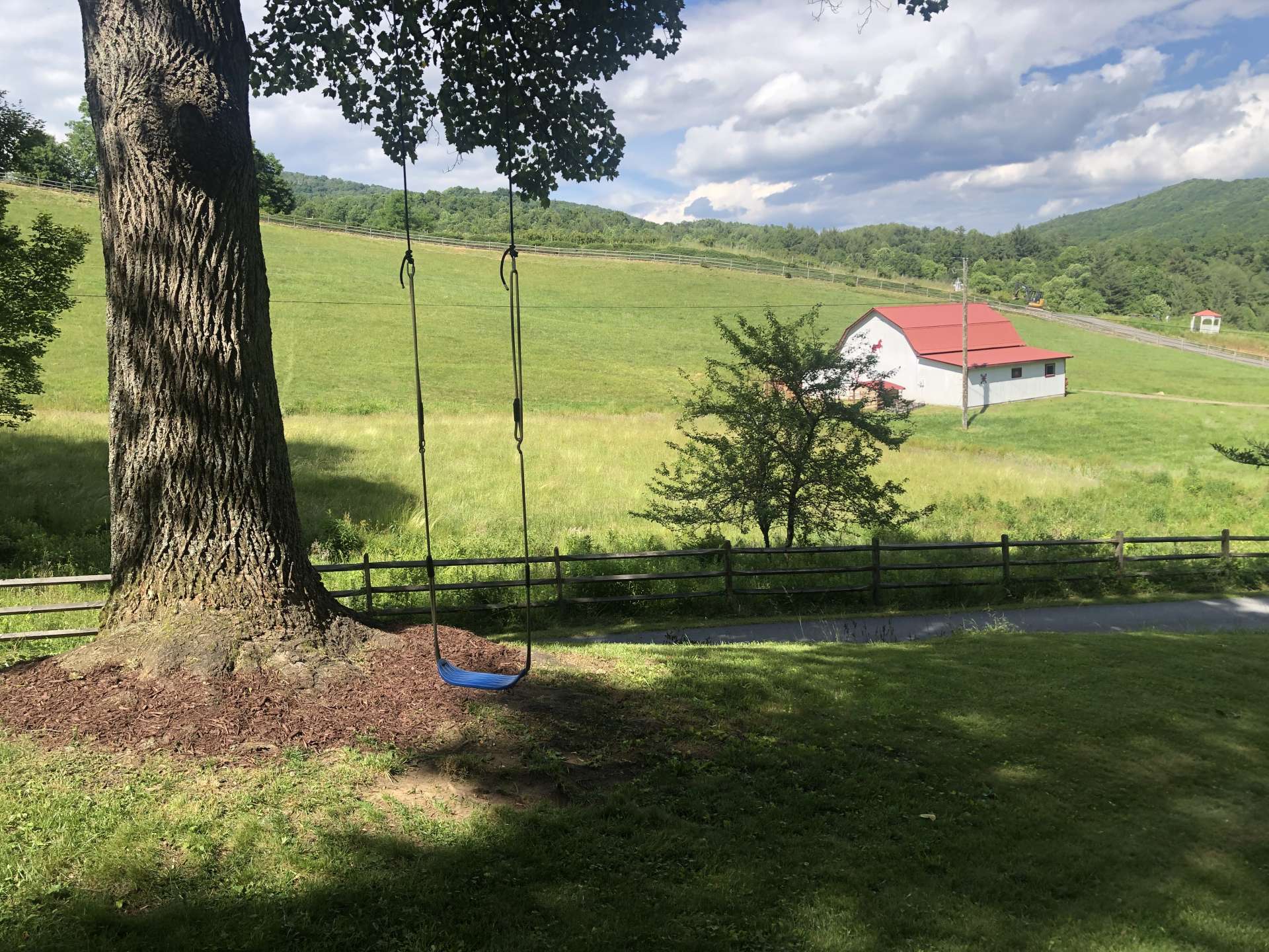 Child's swing in the oak tree